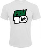 PAI 10